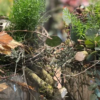 Nieuwsupdate 22 november - 2025