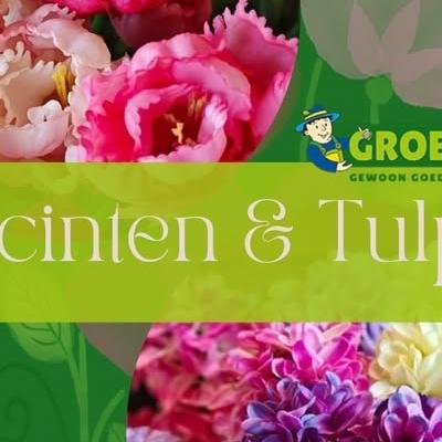 Nieuwsupdate 12 februari - 2026