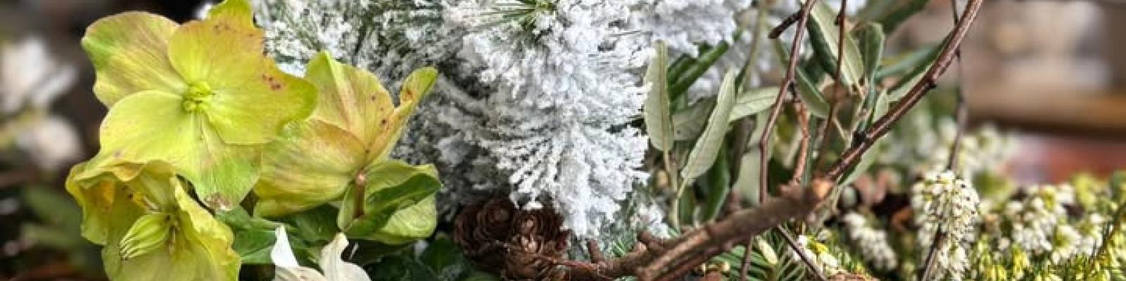 Nieuwsupdate  9 december - 2025