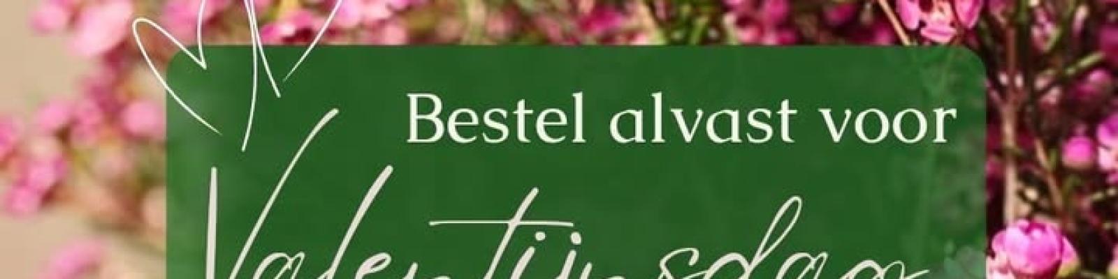 Nieuwsupdate 30 januari - 2026