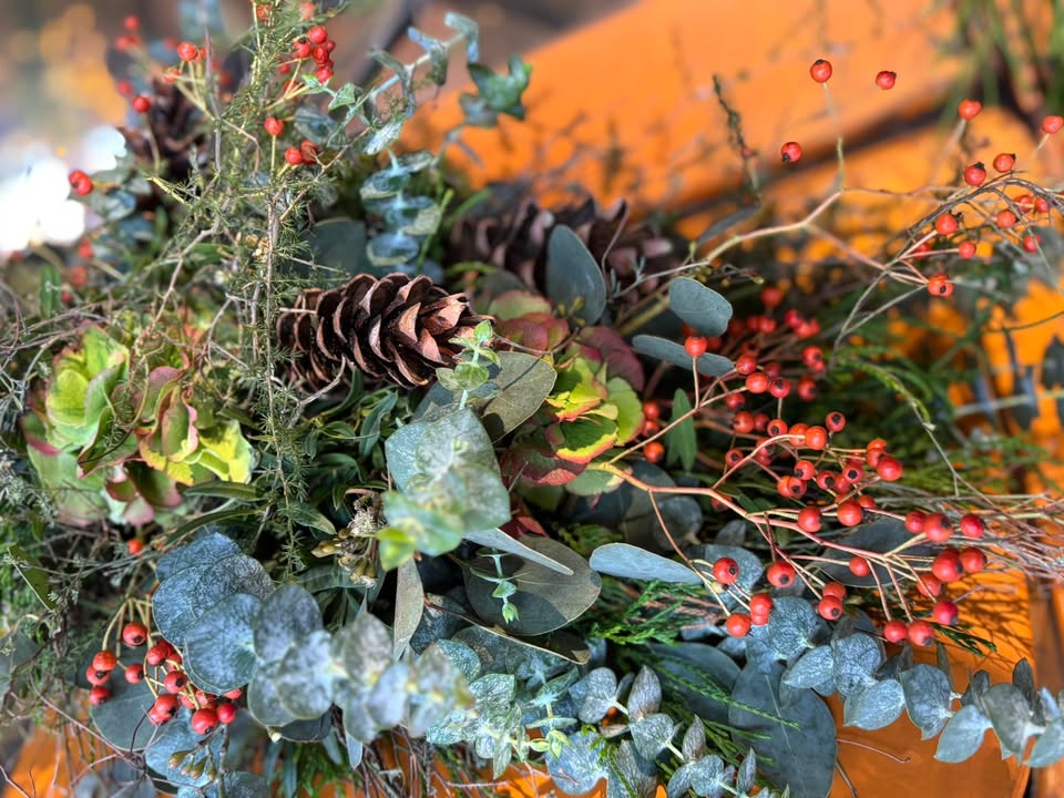 Nieuwsupdate 11 november - 2025